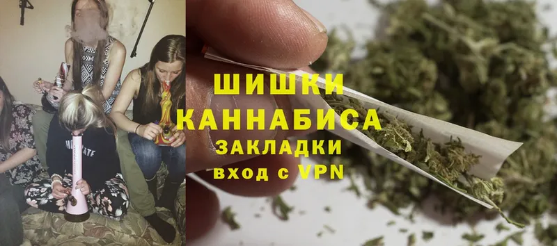 Каннабис OG Kush  Дубовка 